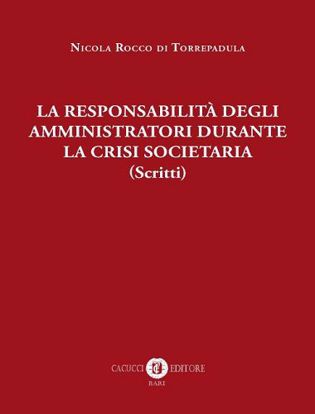 Immagine di La responsabilità degli amministratori durante la crisi societaria
