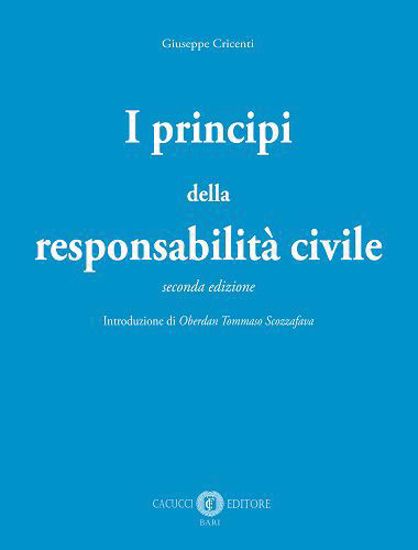 Immagine di I principi della responsabilità civile - Seconda edizione