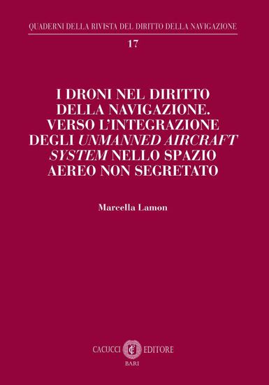 Immagine di 17 - I droni nel diritto della navigazione. Verso l’integrazione degli Unmanned Aircraft System nello spazio aereo non segregato